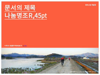 면 분할 면 분할